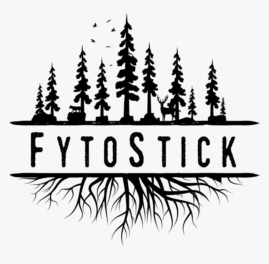 Christmas Tree, HD Png Download