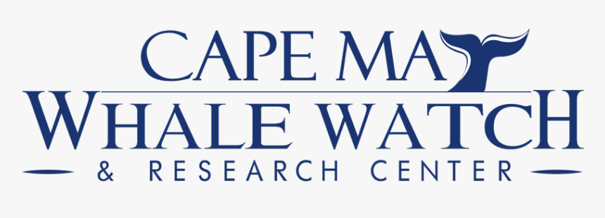 Gardasil, HD Png Download