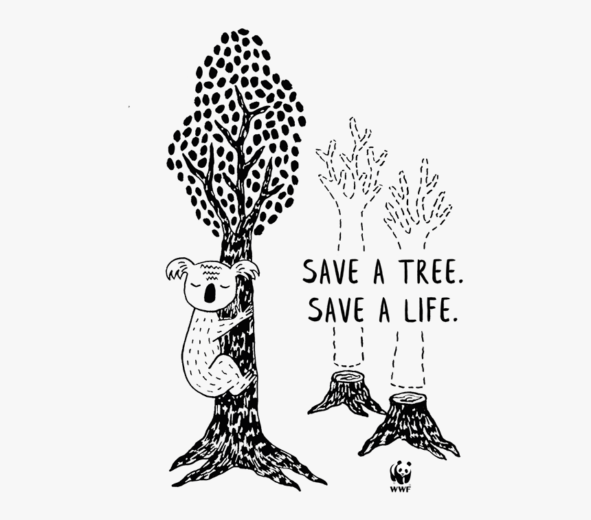 Wwf, HD Png Download