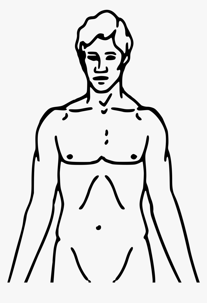 Collection Of Free Male Drawing Human Face Download - Pheromone Party, HD Png Download