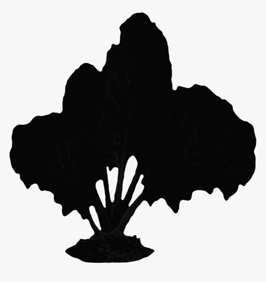 Illustration, HD Png Download