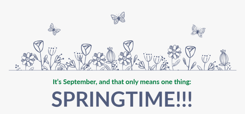 Line Art, HD Png Download