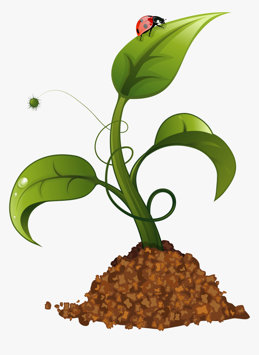 Spring Flower Crop Png Clip Art Imageu200b Gallery, Transparent Png