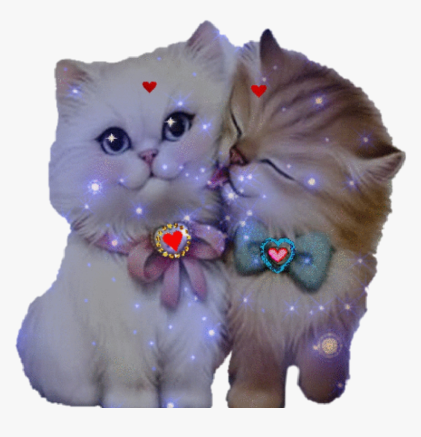 #gatos Enamorados 😍 - Любовь Милые Картинки Животных, HD Png Download