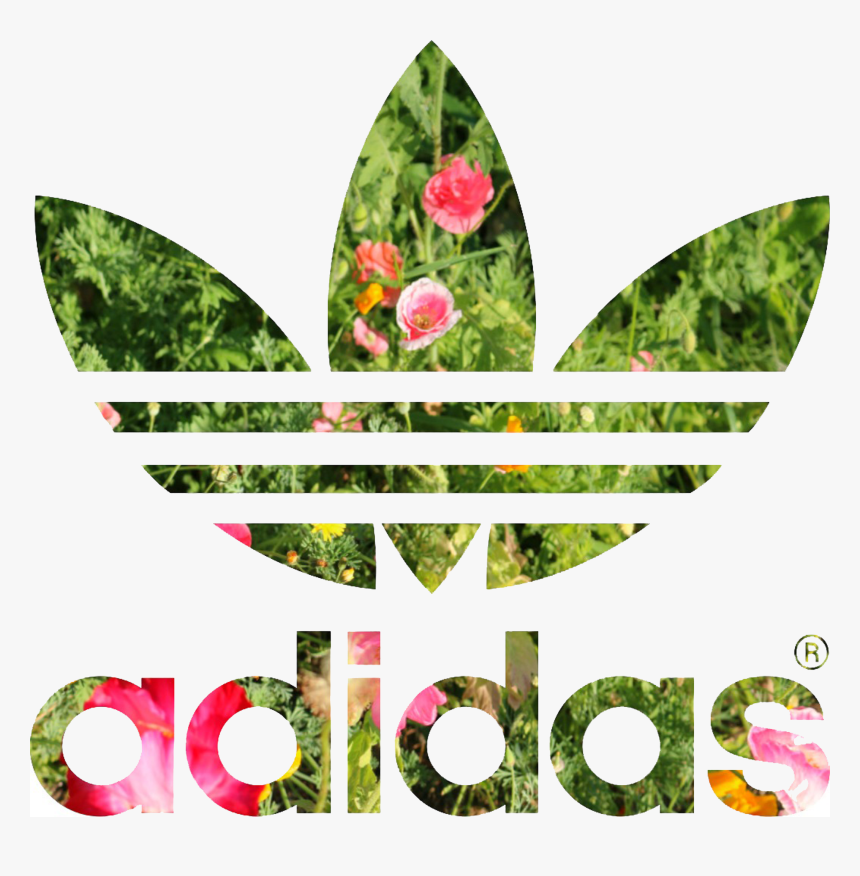 Transparent Adidas Png - Adidas Jacket Black And White Womens, Png Download