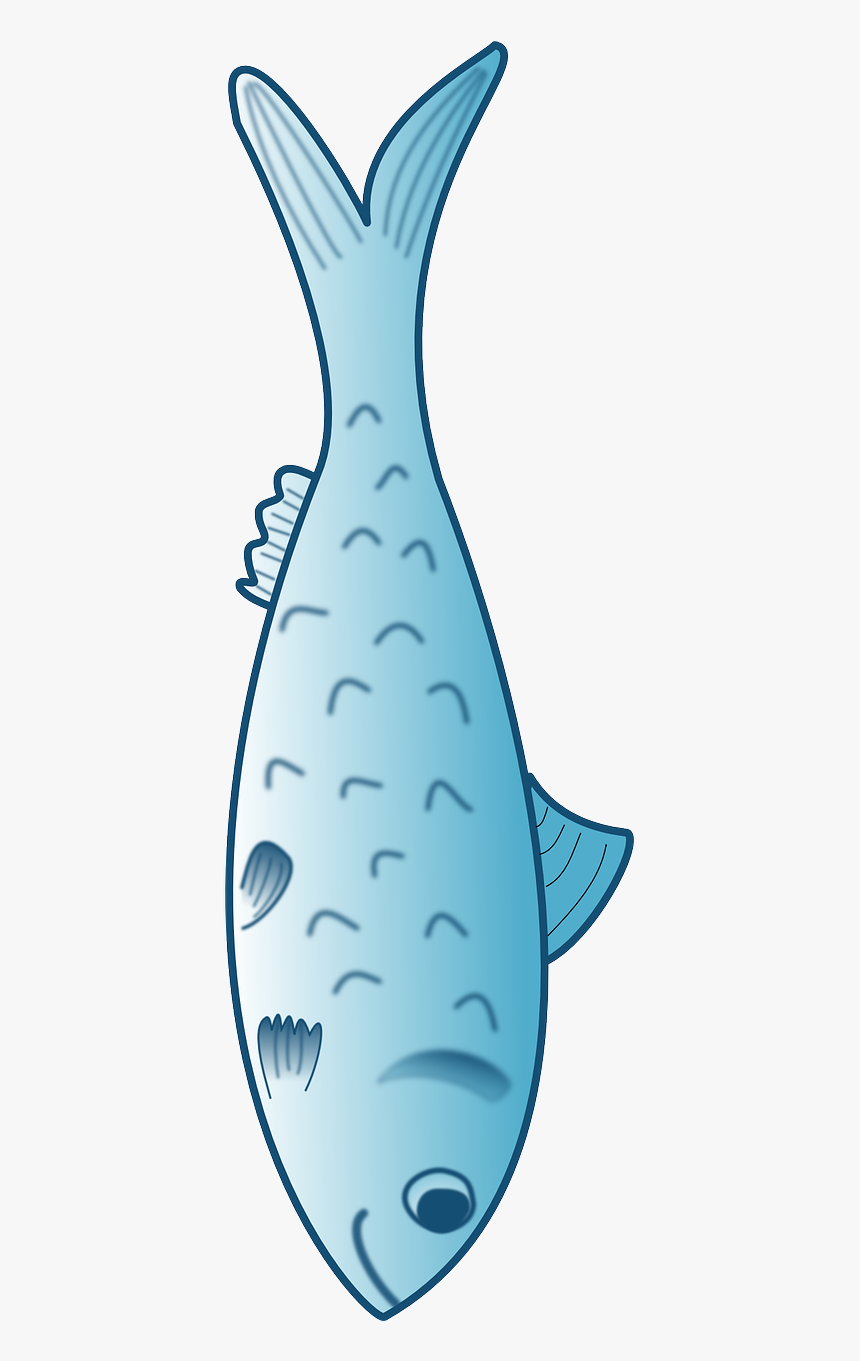 Transparent Trout Png - Cooked Fish Clip Art, Png Download