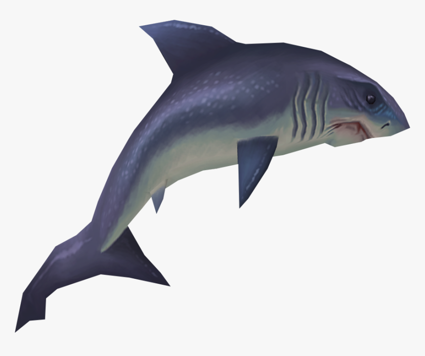 Shark Fish Png, Transparent Png