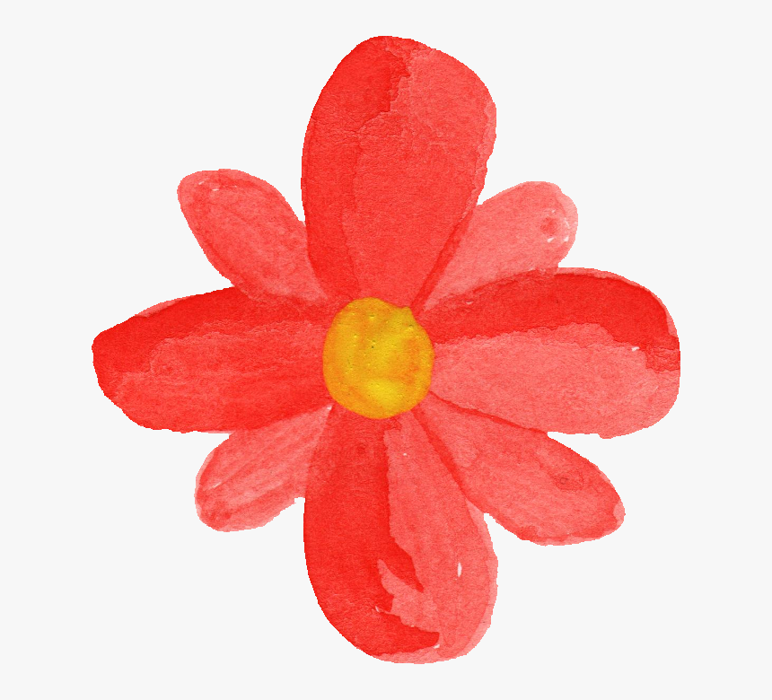 Dicotyledon, HD Png Download