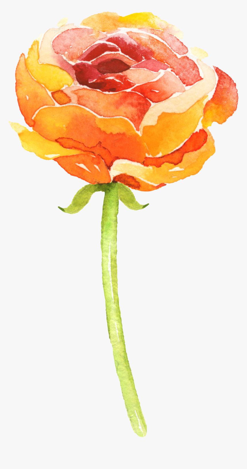 Orange Watercolor Flowers Png, Transparent Png