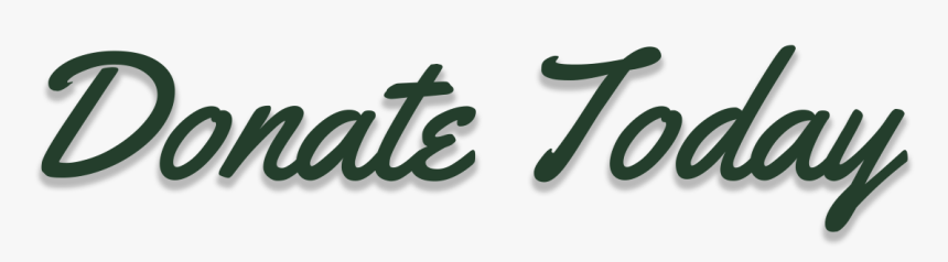 Calligraphy, HD Png Download