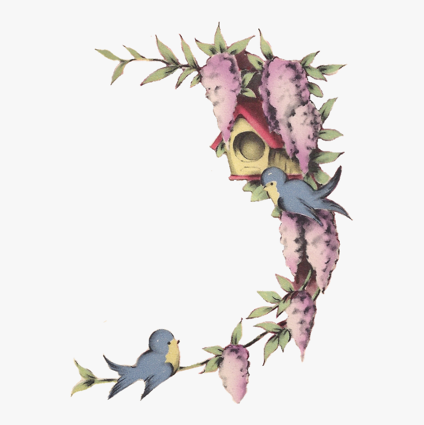 Free Image Little Blue Birds And Wisteria Png Frame - Frame Bird Png, Transparent Png