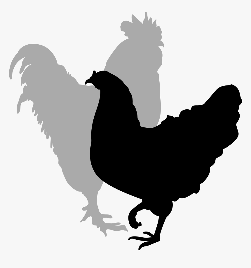 Rooster Silhouette Clip Art - Clipart Hen And Rooster, HD Png Download