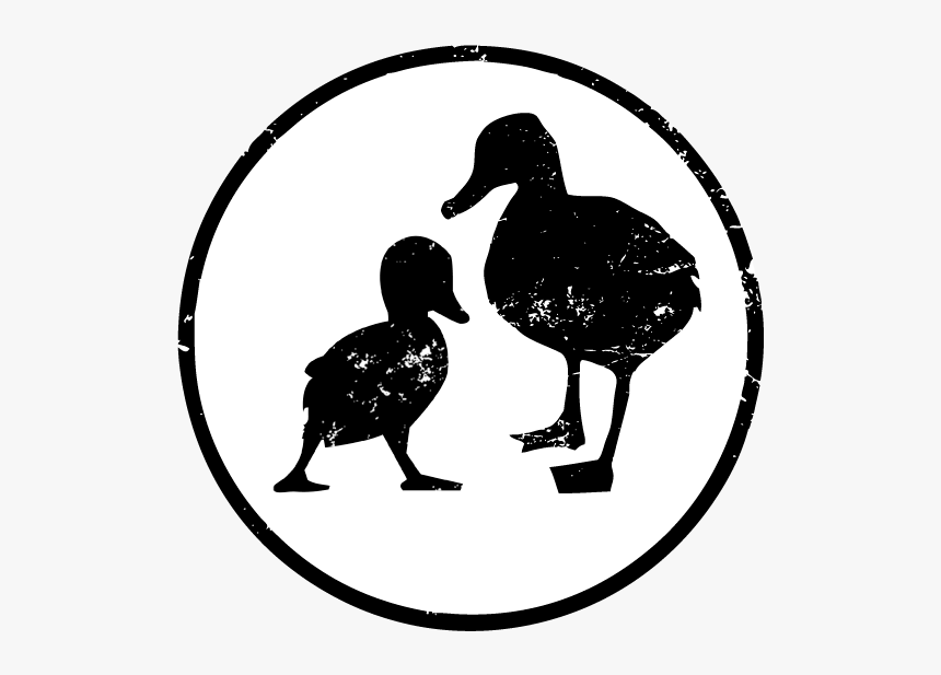 Little Duck Kitchen - Odd Duck, HD Png Download