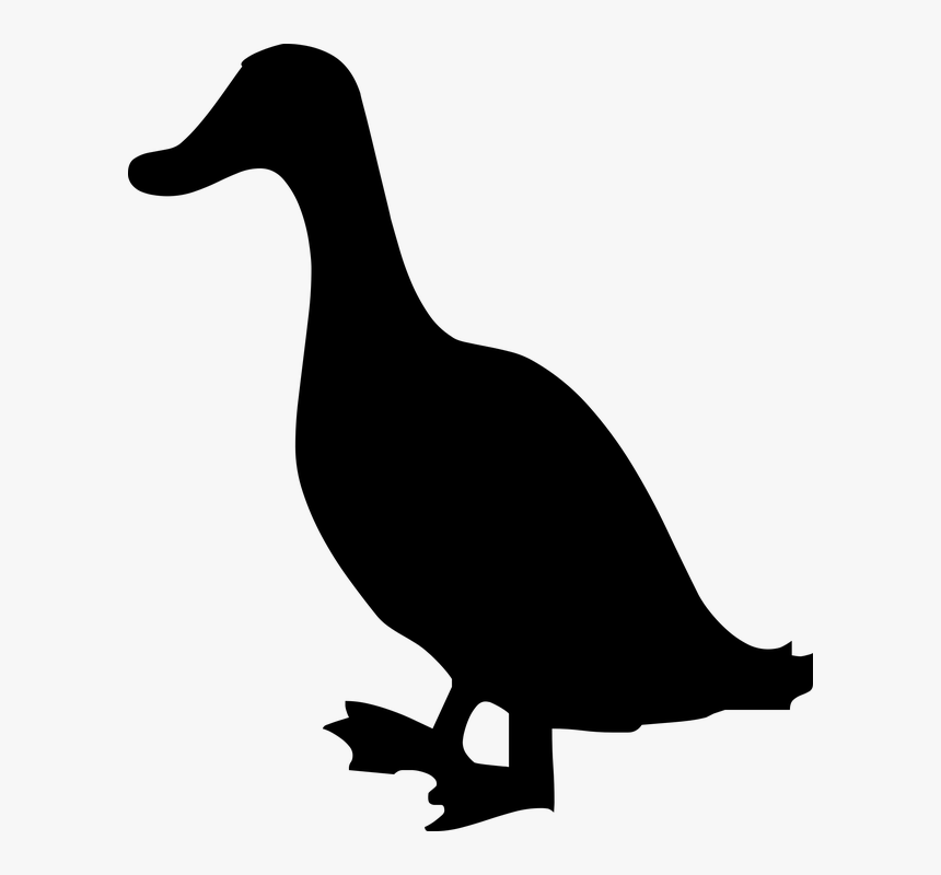 Silhouette, Bird, Nature, Dark, Duck - Canard Gras, HD Png Download