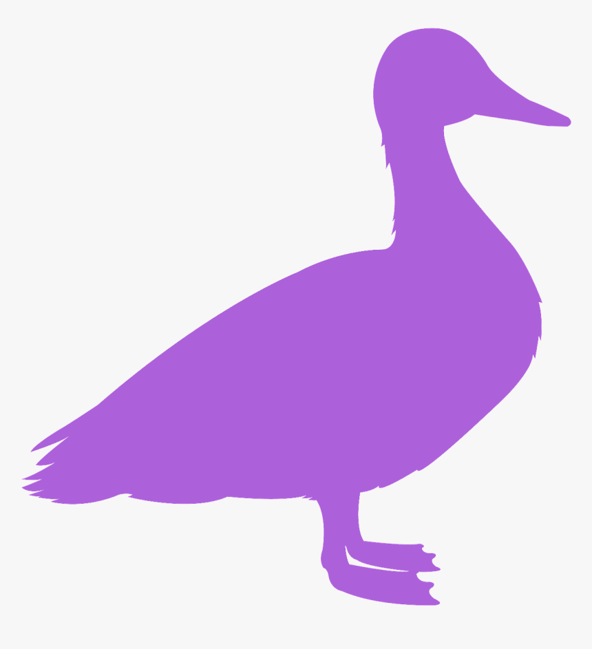Imagens De Patinho Vermelho Para Imprimir, HD Png Download