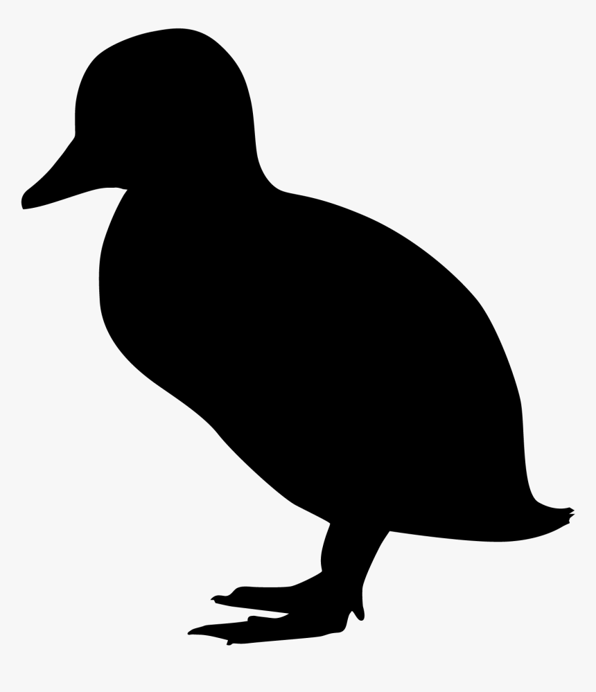 Duck, HD Png Download
