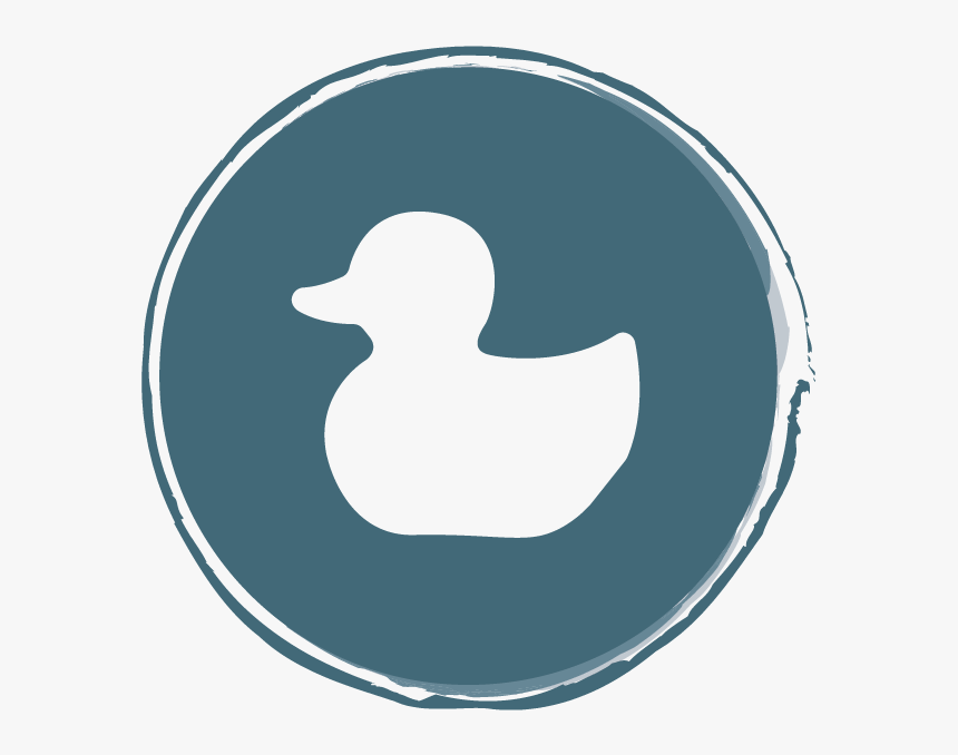 Duck, HD Png Download