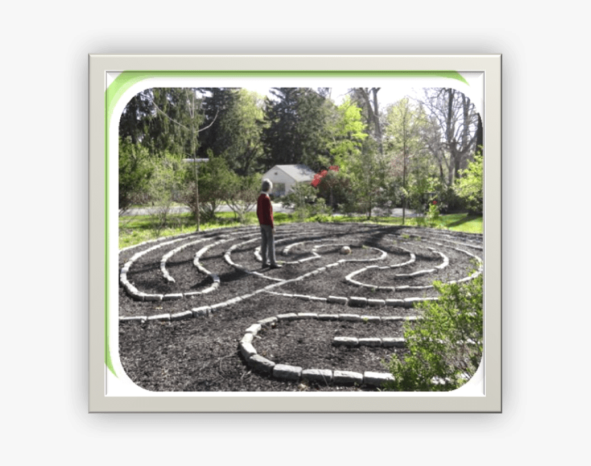 Botanical Garden, HD Png Download