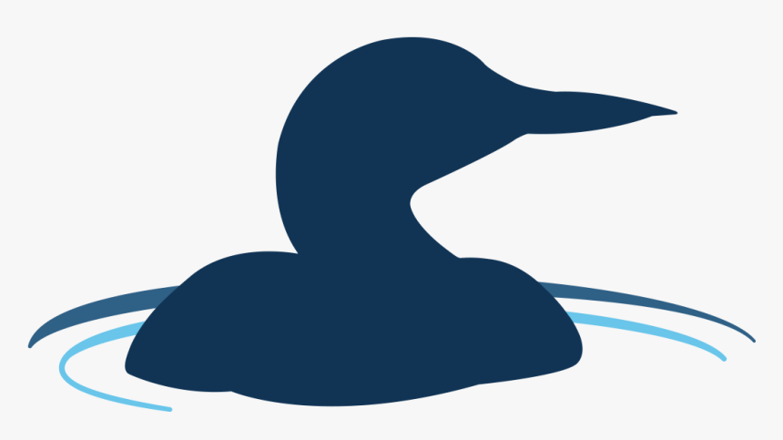 Duck, HD Png Download