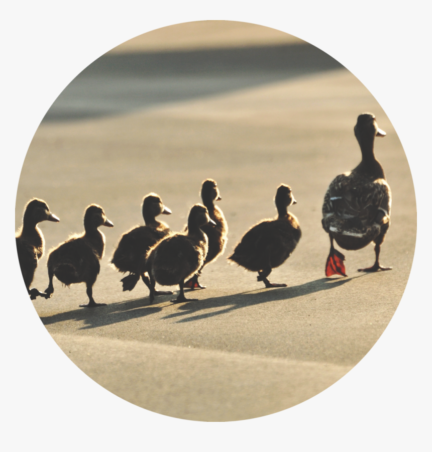 June 30 2019 Gospel, HD Png Download