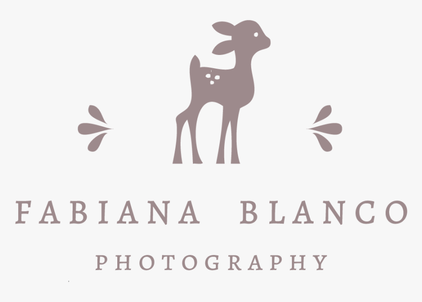 Fabiana Blanco Photography - Deer, HD Png Download