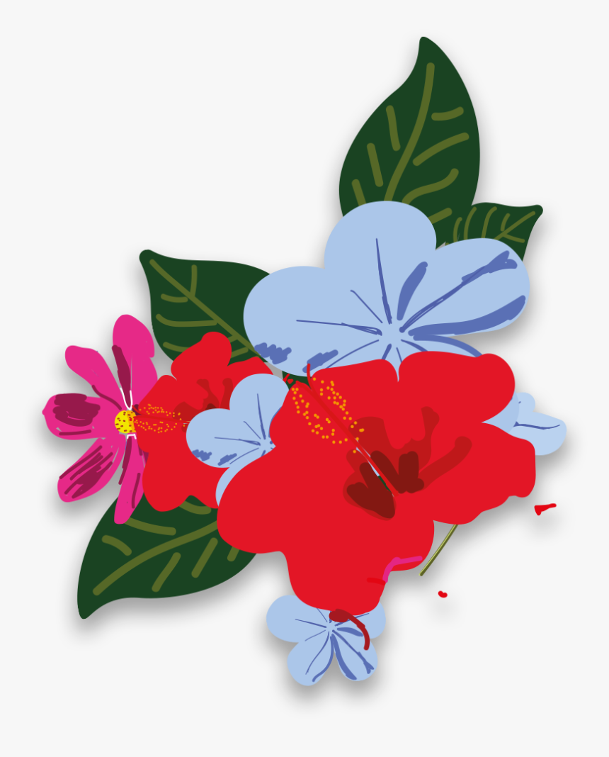 Impatiens, HD Png Download