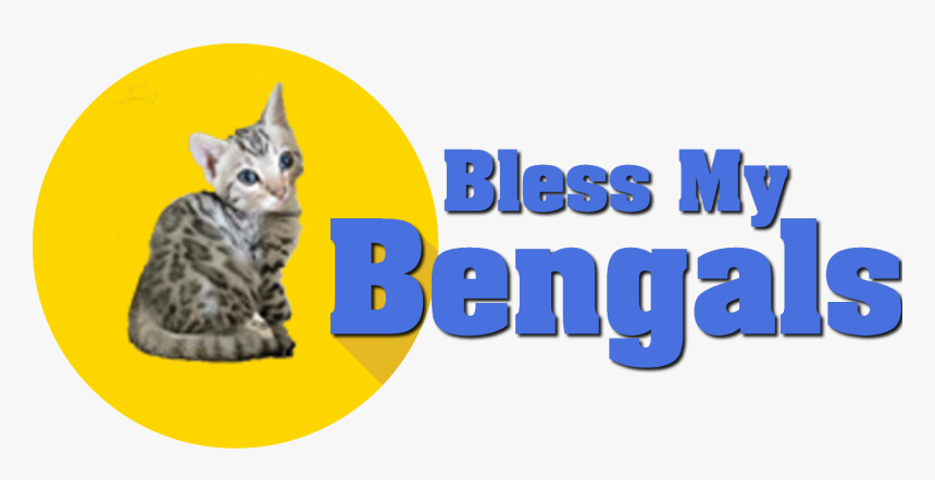 Bless My Bengals - Squitten, HD Png Download