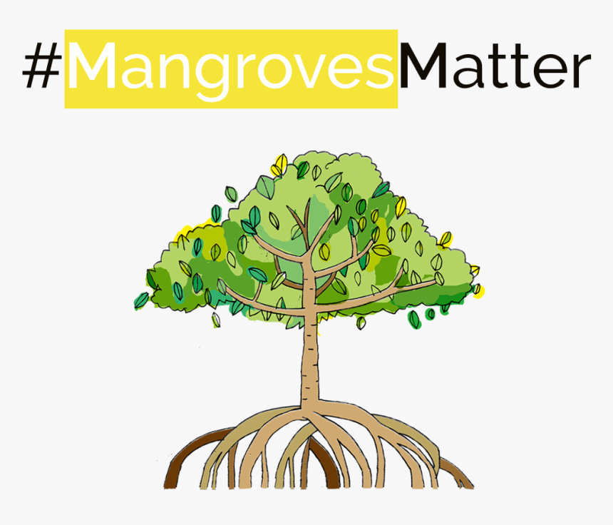 Mangrove Planting Campaign, HD Png Download