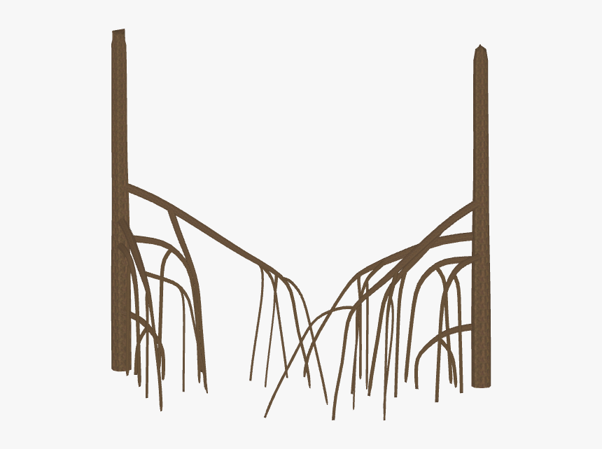 Mangrove Roots - Mangrove Roots Png, Transparent Png