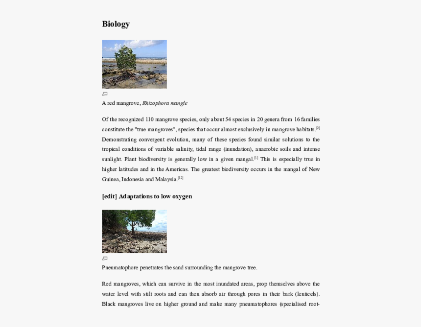 Tree, HD Png Download