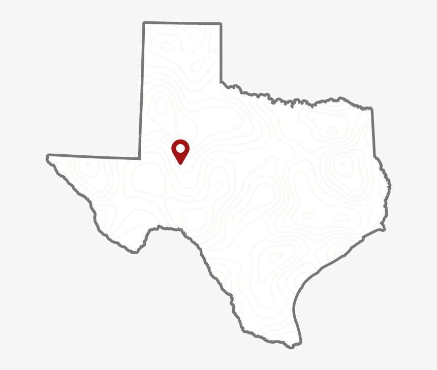 Transparent Basketball Outline Png - Texas With Black Background, Png Download