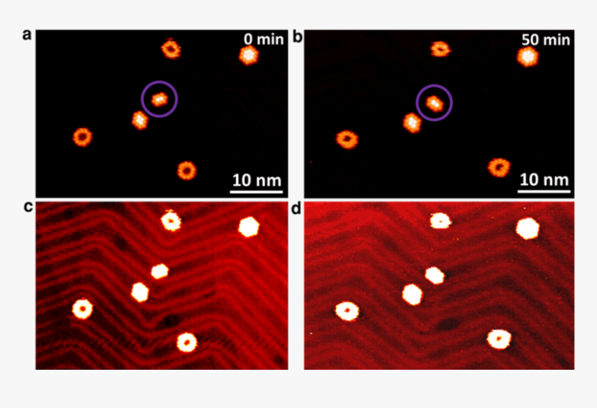 Screenshot, HD Png Download