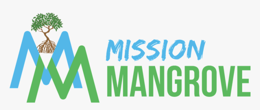 Transparent Mangrove Png - Barakamon, Png Download