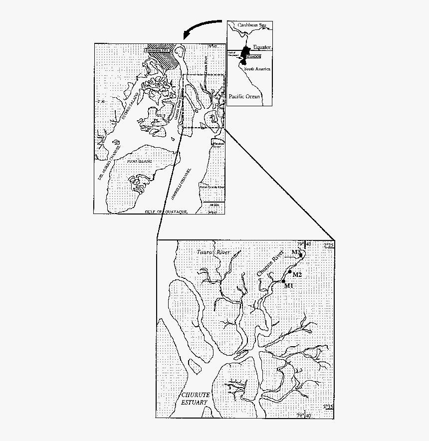 Diagram, HD Png Download