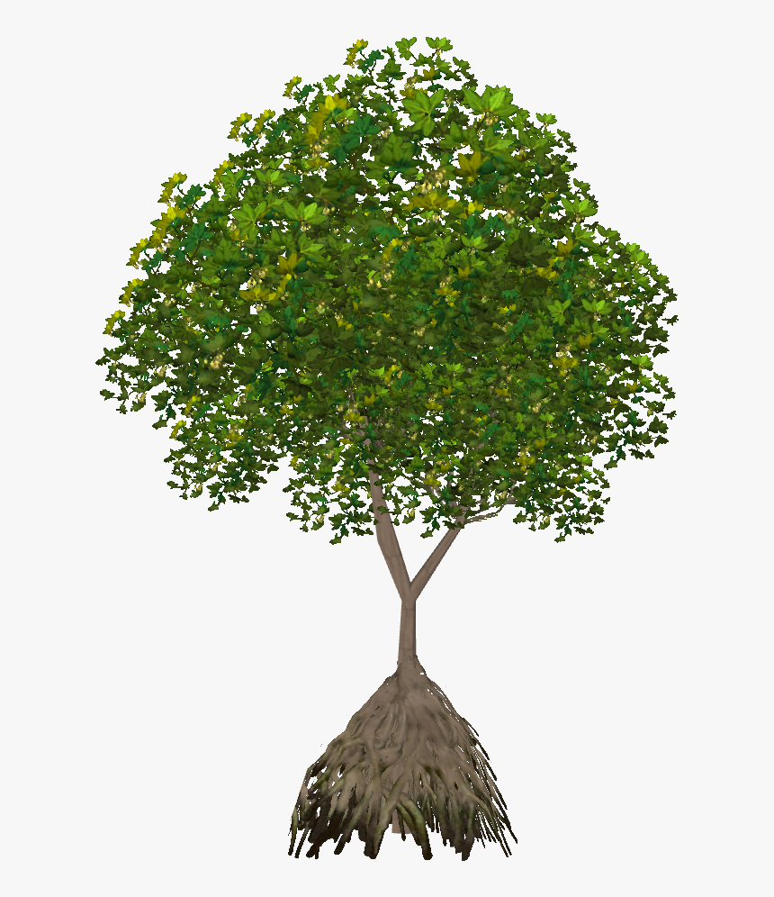 Plane, HD Png Download