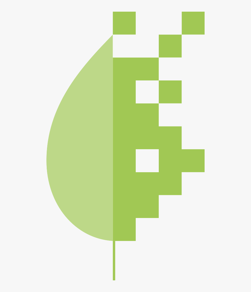 Mangrove Conservation Via Satellite - Bits Und Bäume, HD Png Download