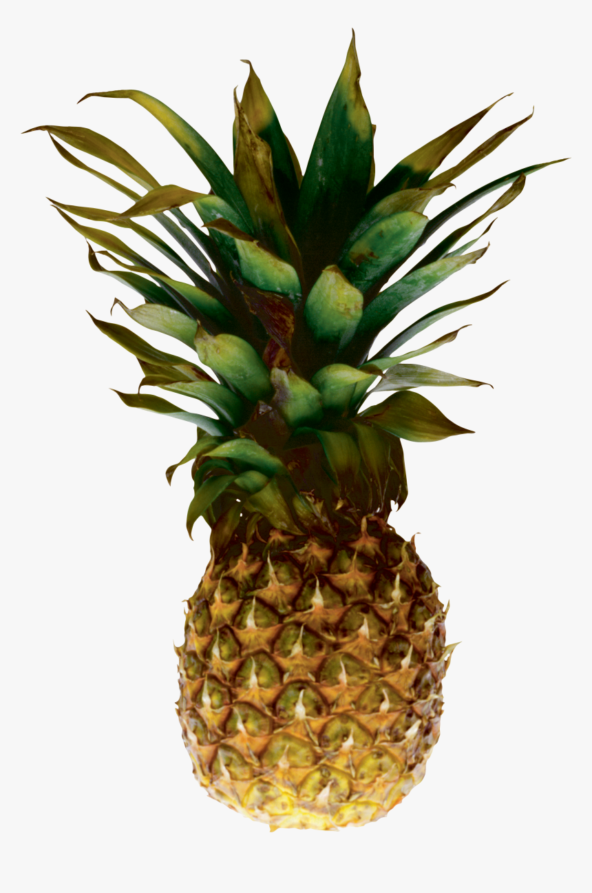 Pineapple Png Image Download - Pineapple Transparent Background, Png Download