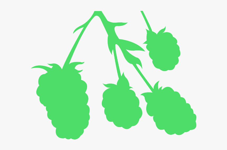 Seedless Fruit, HD Png Download