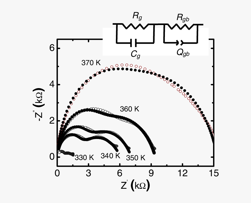 Plates With Gold Balls, HD Png Download