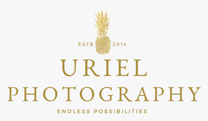 Pineapple, HD Png Download