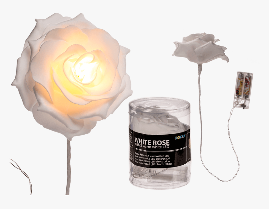 Garden Roses, HD Png Download