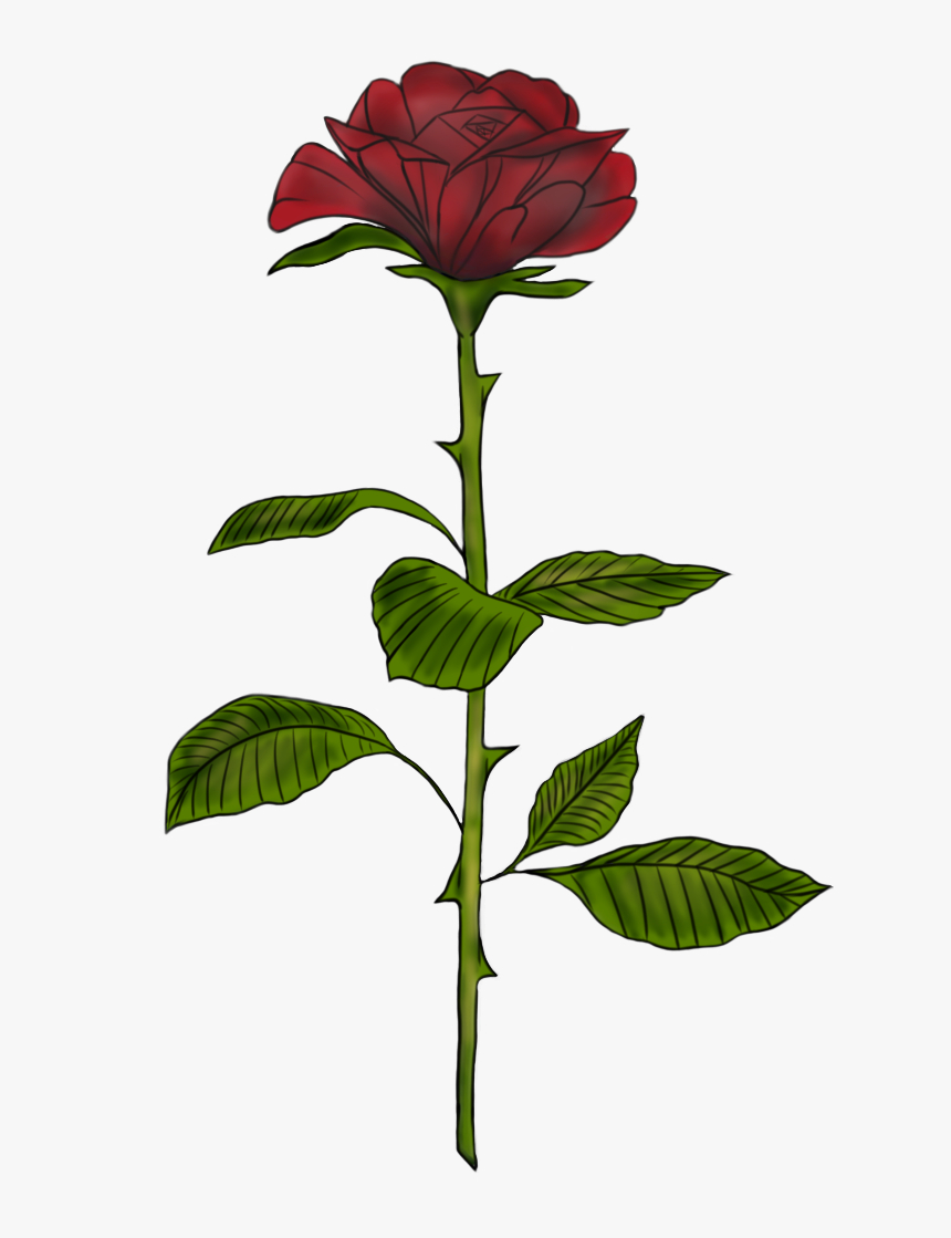 Garden Roses, HD Png Download