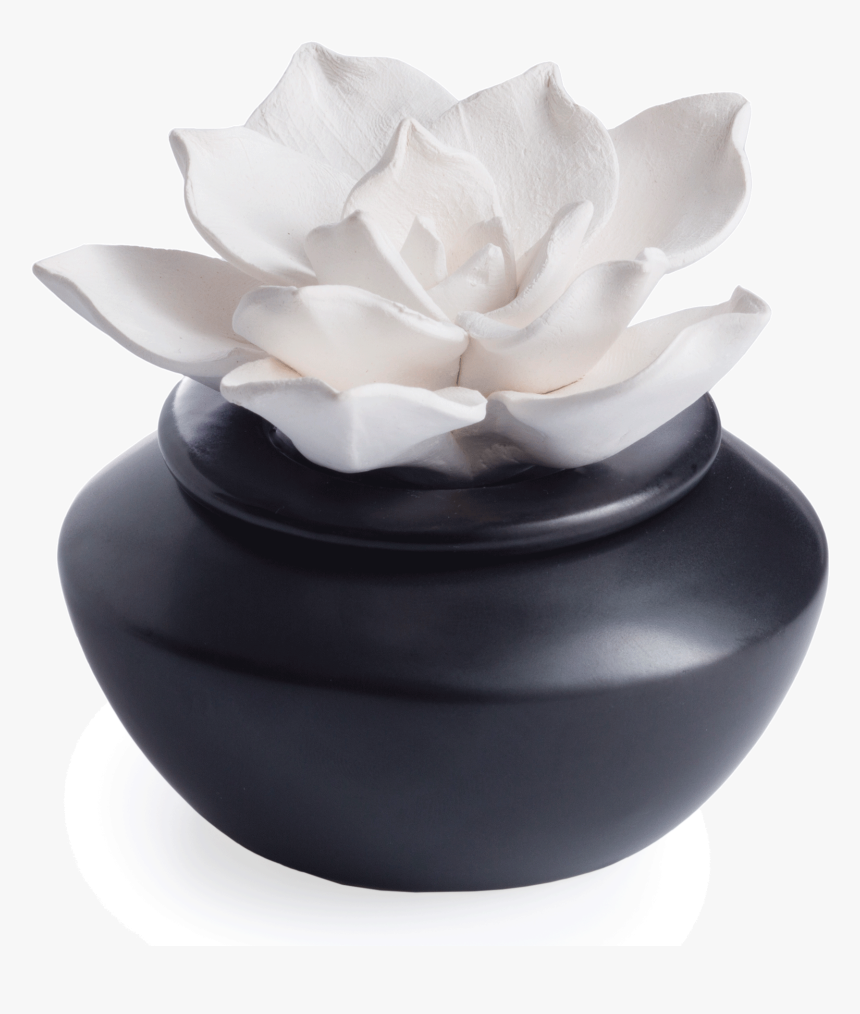 Candle Warmers, HD Png Download