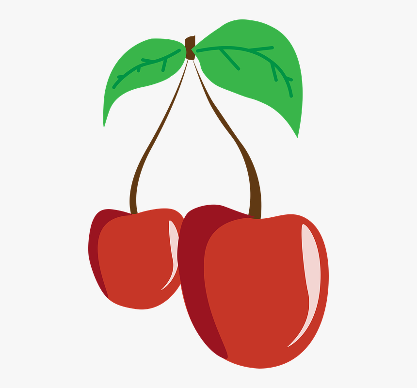 Cherry Fruit Cherries Leaf Nutrition Eating - Nutrição Png, Transparent Png
