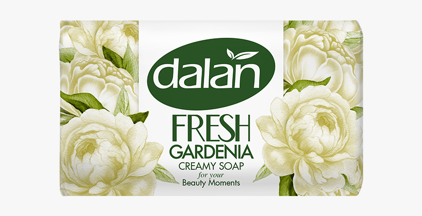 Garden Roses, HD Png Download