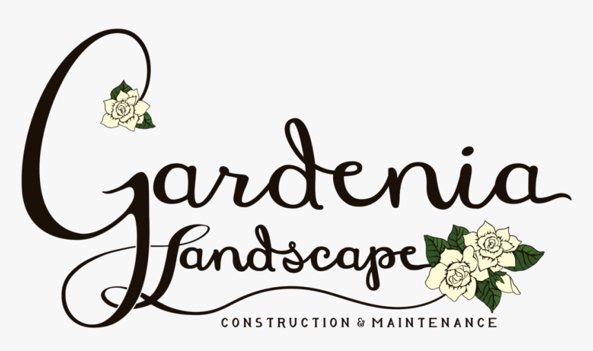 Gardenia Png, Transparent Png