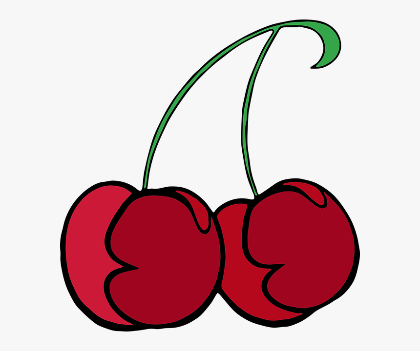 Svgs For Both Of This Colored Cherry Vector And This - Obst Bilder In Grafik, HD Png Download