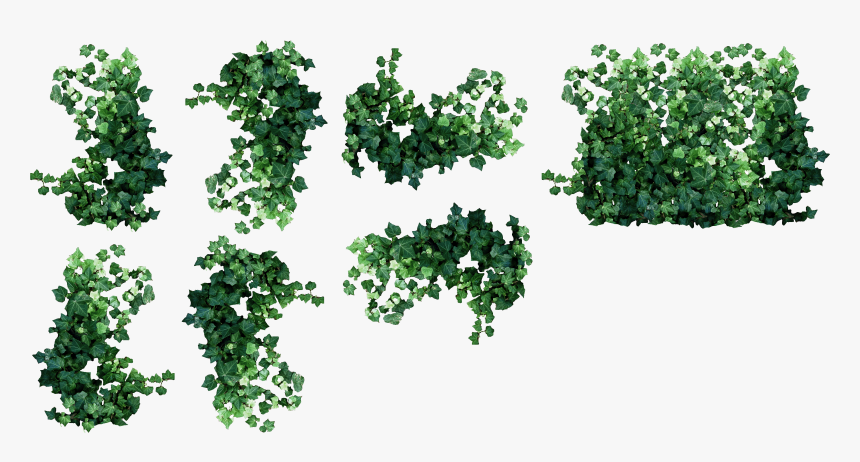 Ivy Clipart Watermelon Vine - Hanging Plants Plan View, HD Png Download