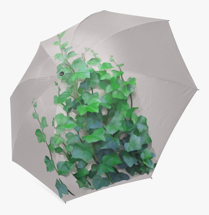 Umbrella, HD Png Download