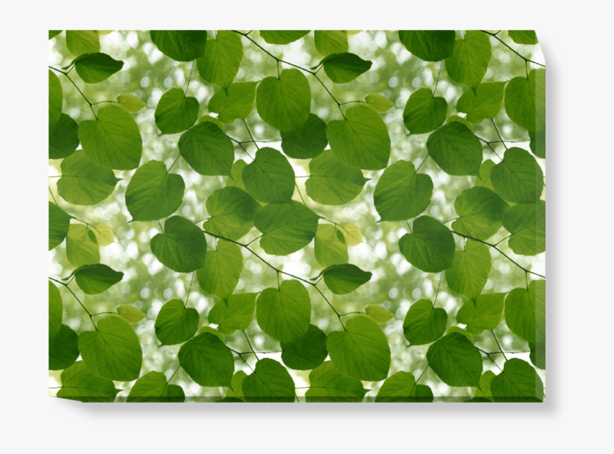 Ella Doran New Work, HD Png Download